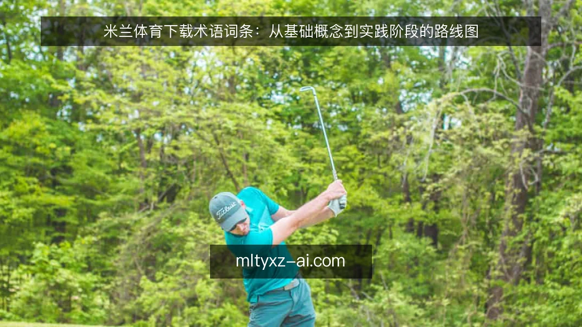 米兰体育下载术语词条：从基础概念到实践阶段的路线图